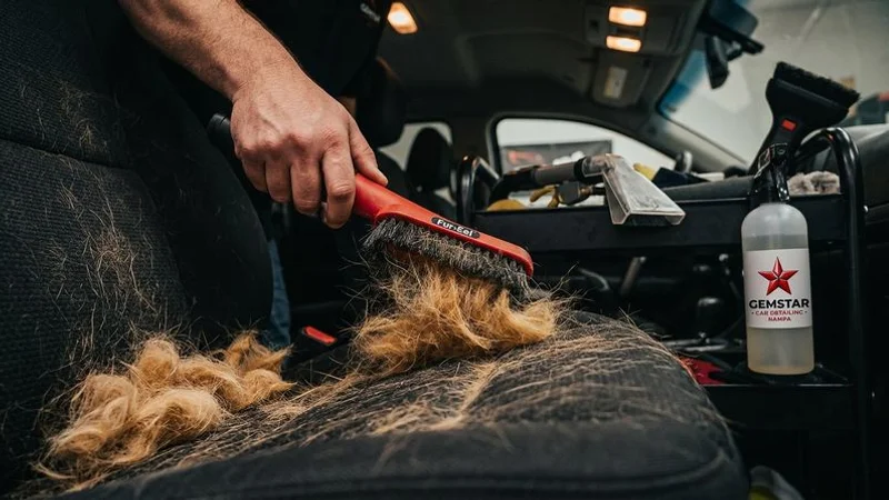 Professional detailer removing pet hair with specialized tools